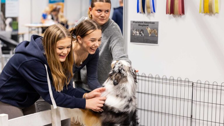 Jenter som planlegger å kjøpe hund