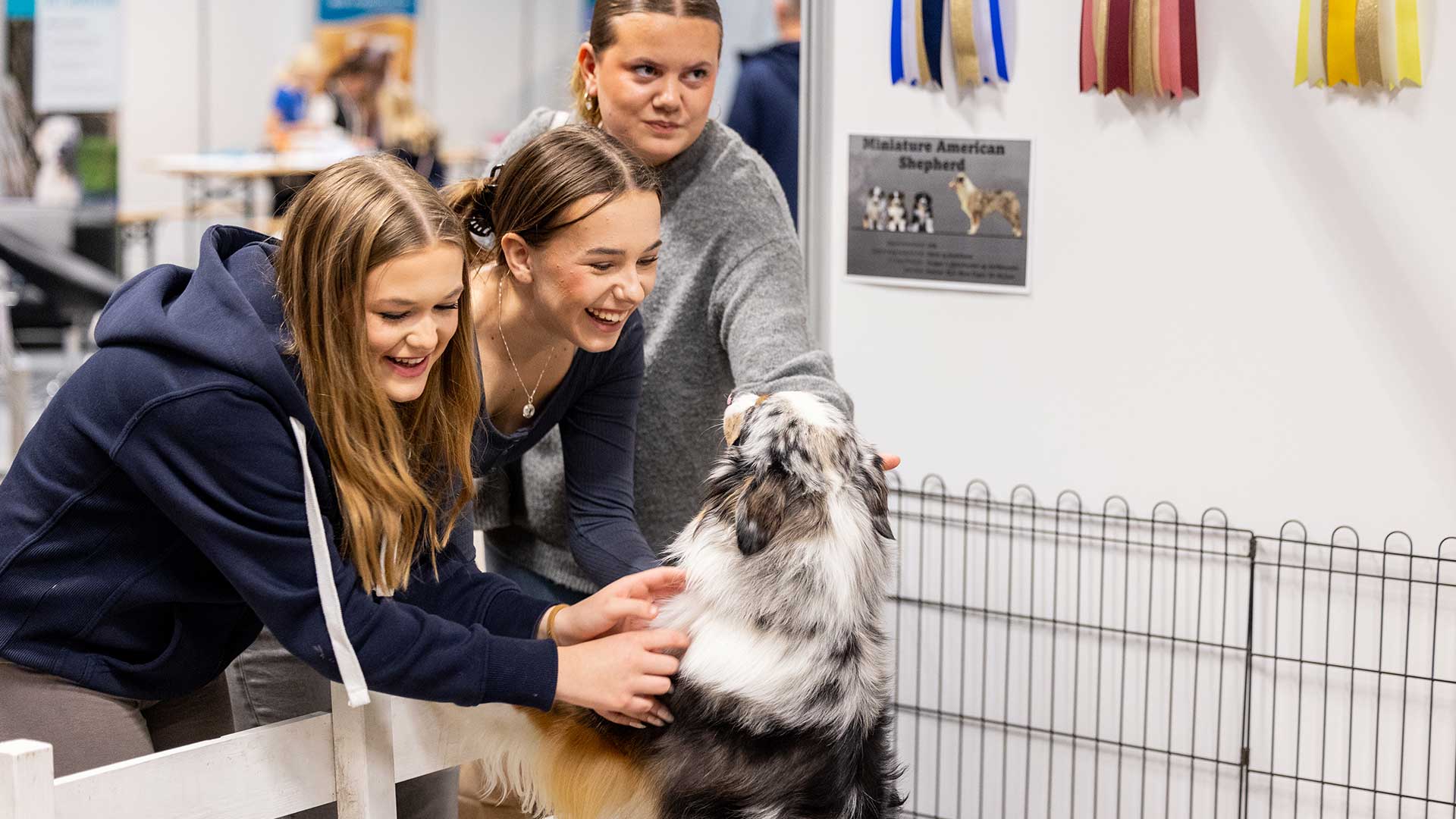 Jenter som planlegger å kjøpe hund