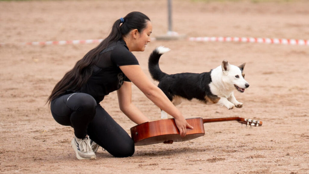 Freestyel-på-Oslo-Dog-Show