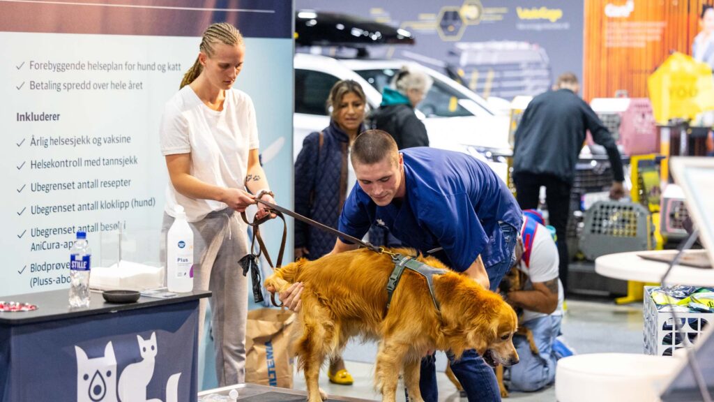 Hundehelse-med-veterinær-på-Oslo-Dog-show