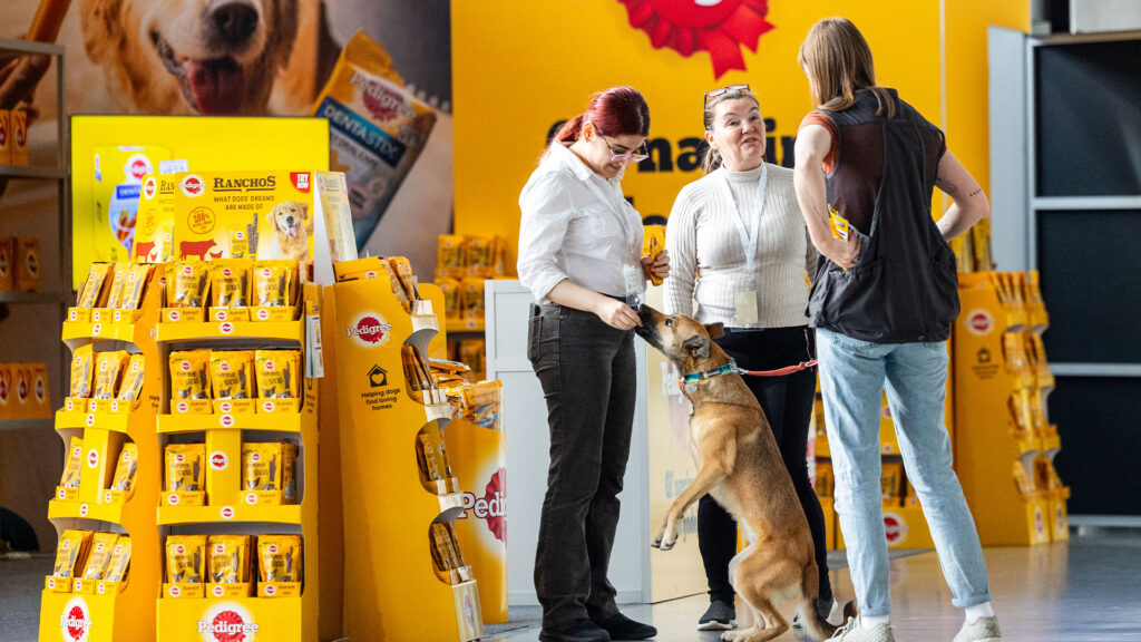 Utstiller på Oslo Dog Show 
