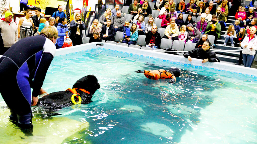 Oppvisning-med-vannhunder-på-Oslo-Dog-Show