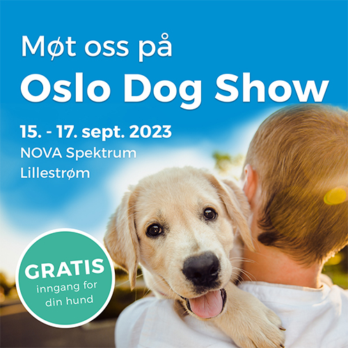 Oslo-Dog-Show-versjon-A